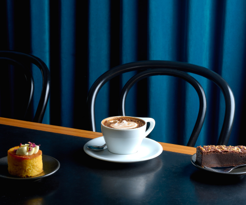 Axil Coffee Roasters Galleria